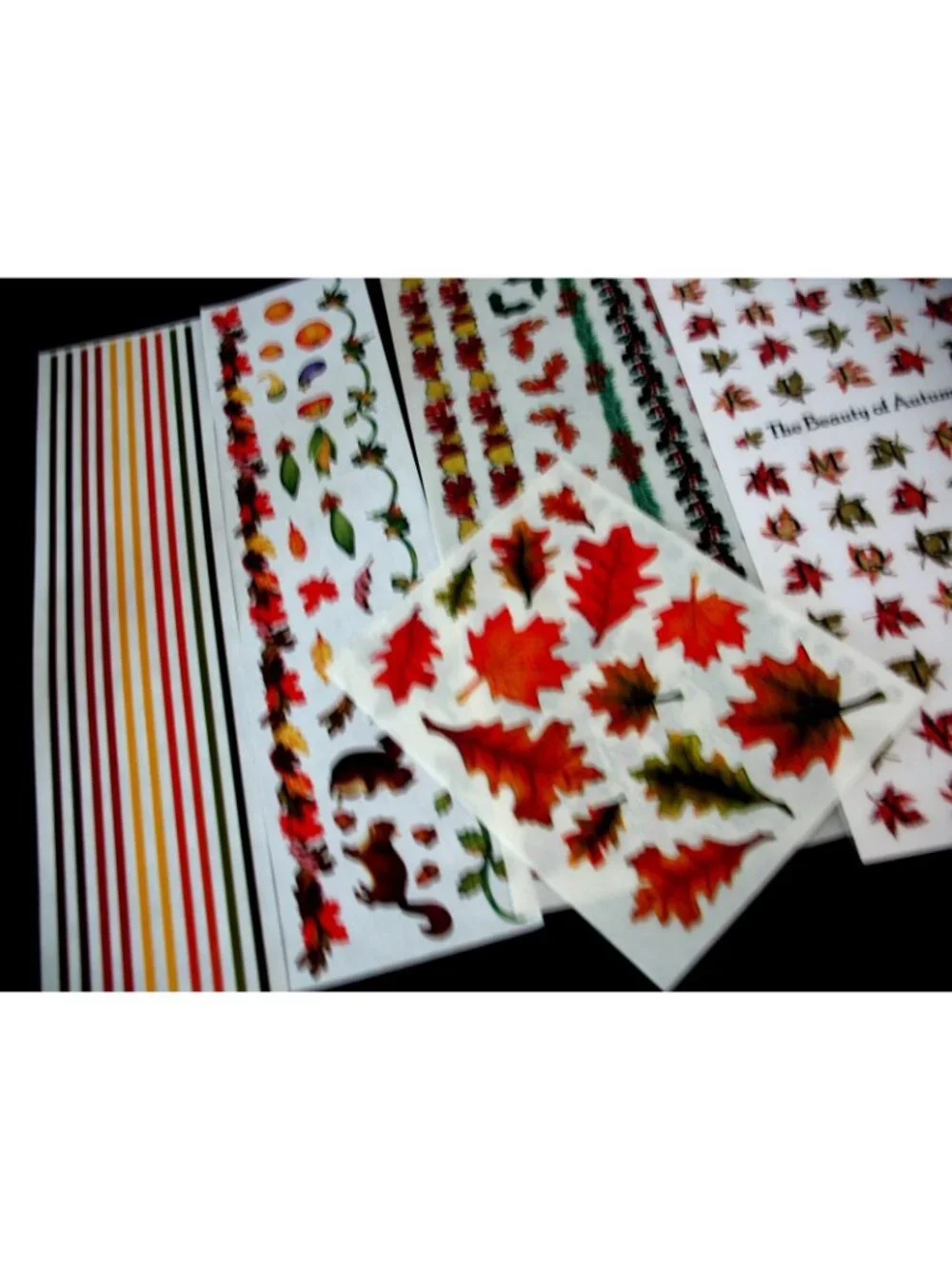 Lot Paper Packs, Pumpkin Spice,Baby, Rainbow, Elegant 8